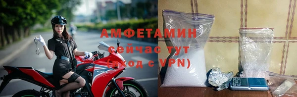 дживик Богородицк