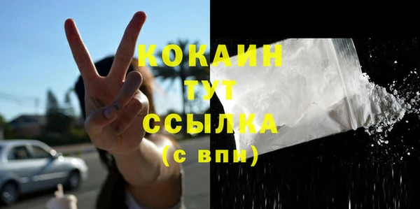 дживик Богданович