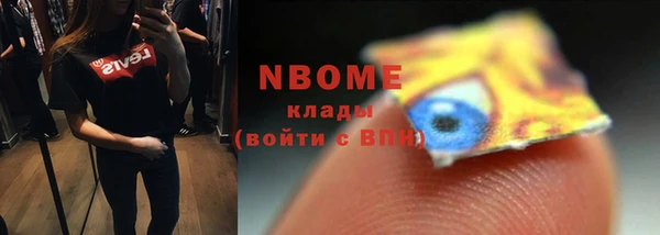 дживик Богородицк
