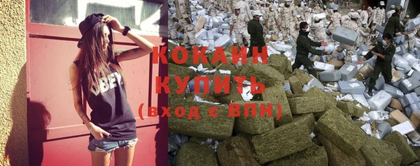 дживик Богданович