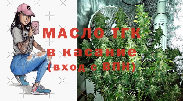 дживик Богородицк