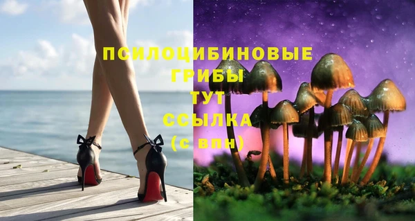 дживик Богданович