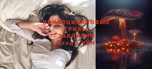 дживик Богородицк
