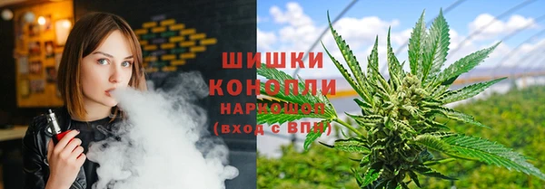 дживик Богданович